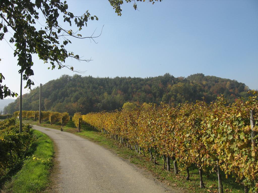 Agriturismo Cascina Serra Cossano Belbo 外观 照片