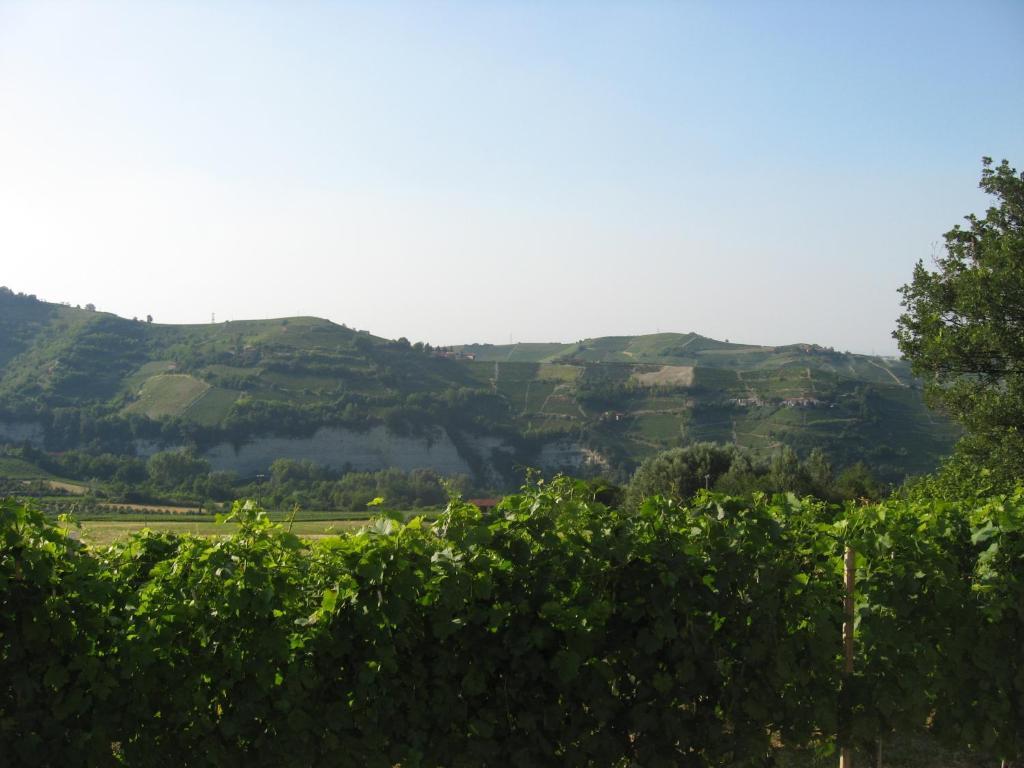 Agriturismo Cascina Serra Cossano Belbo 客房 照片