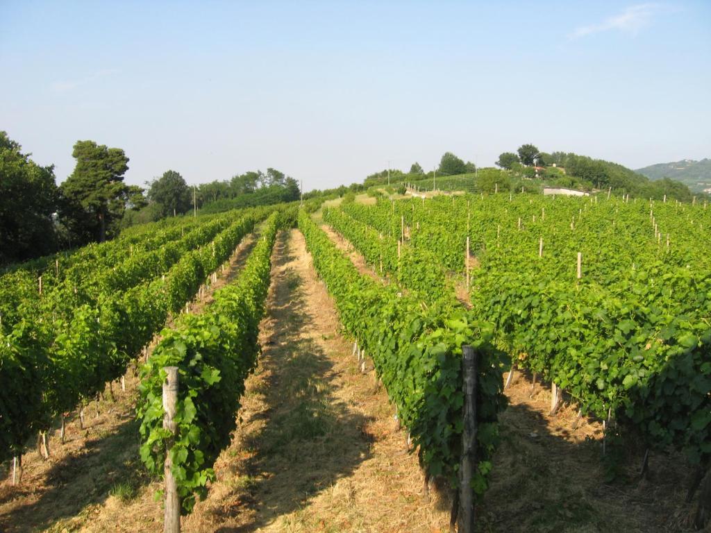 Agriturismo Cascina Serra Cossano Belbo 客房 照片