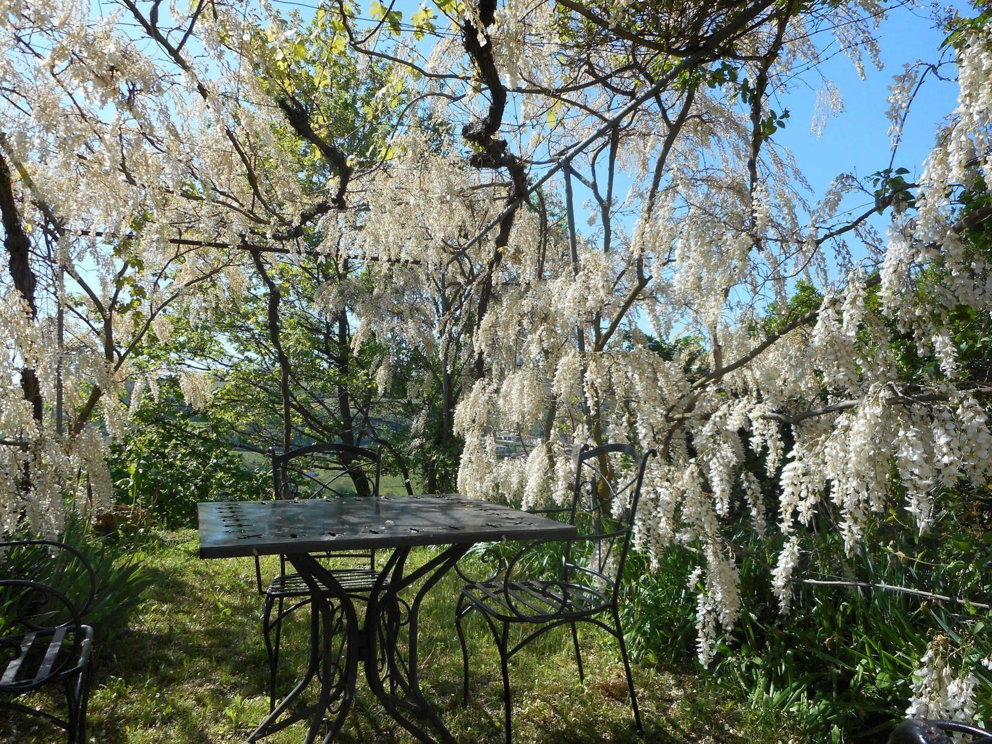 Agriturismo Cascina Serra Cossano Belbo 外观 照片